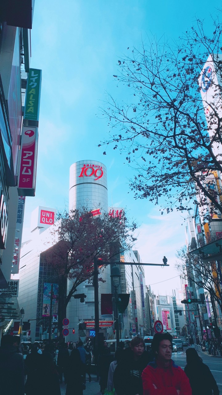 작년 겨울