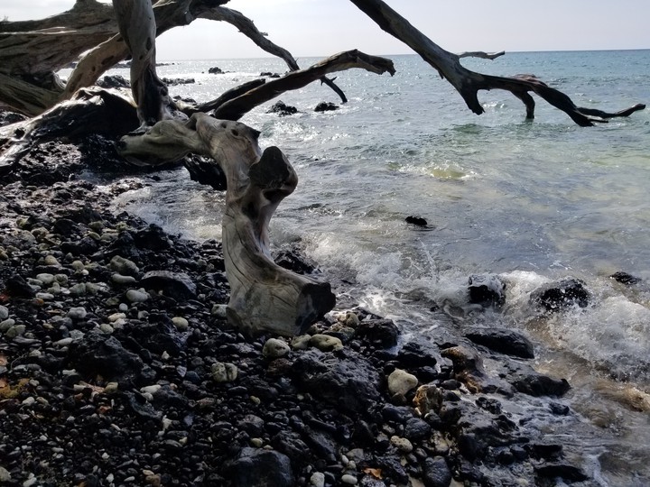 Hawaii Beach 69