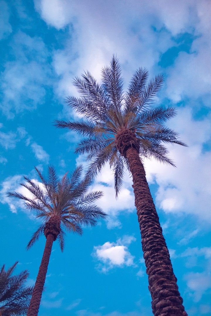 wallpaper
