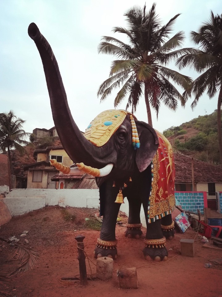 elephanto