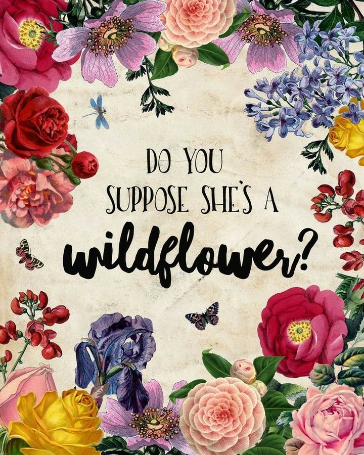 Wildflower