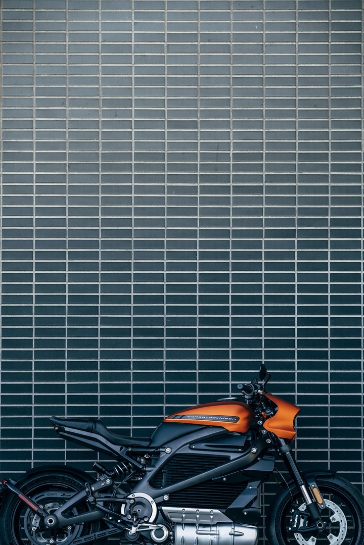 Harlet Davidson Electric Motorcycle