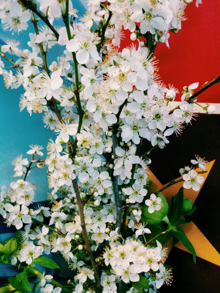 SPRING!