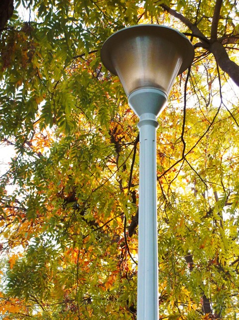 autumn