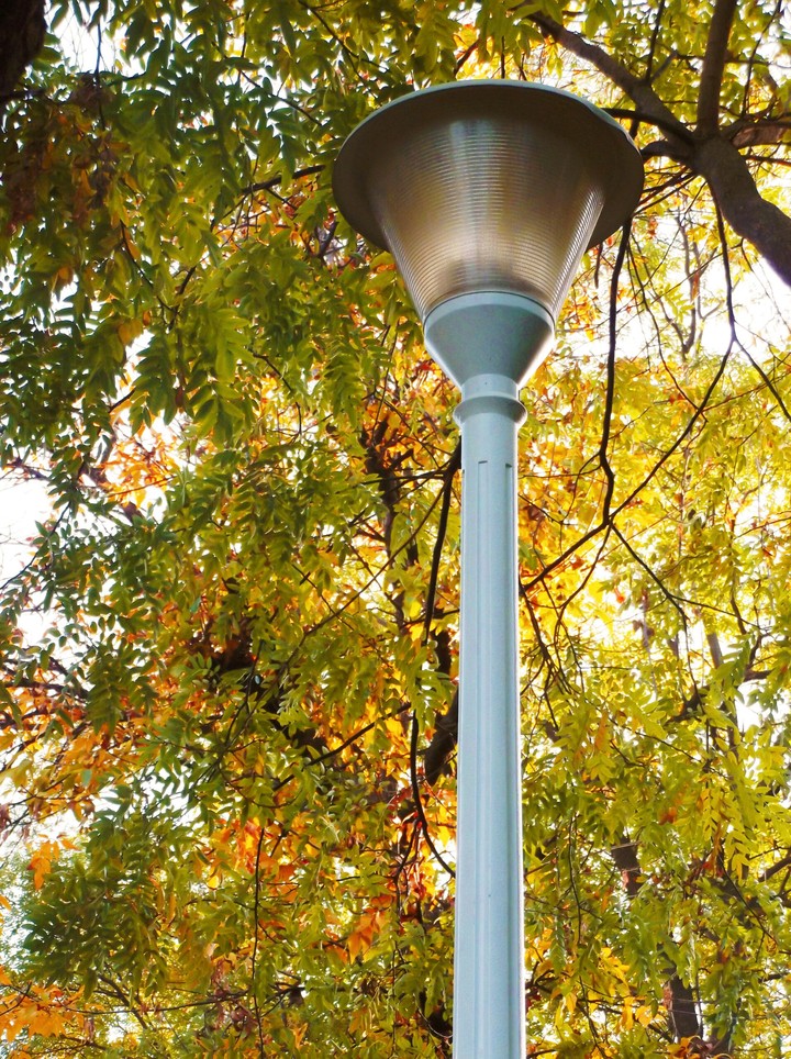 autumn