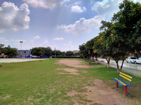 Play ground