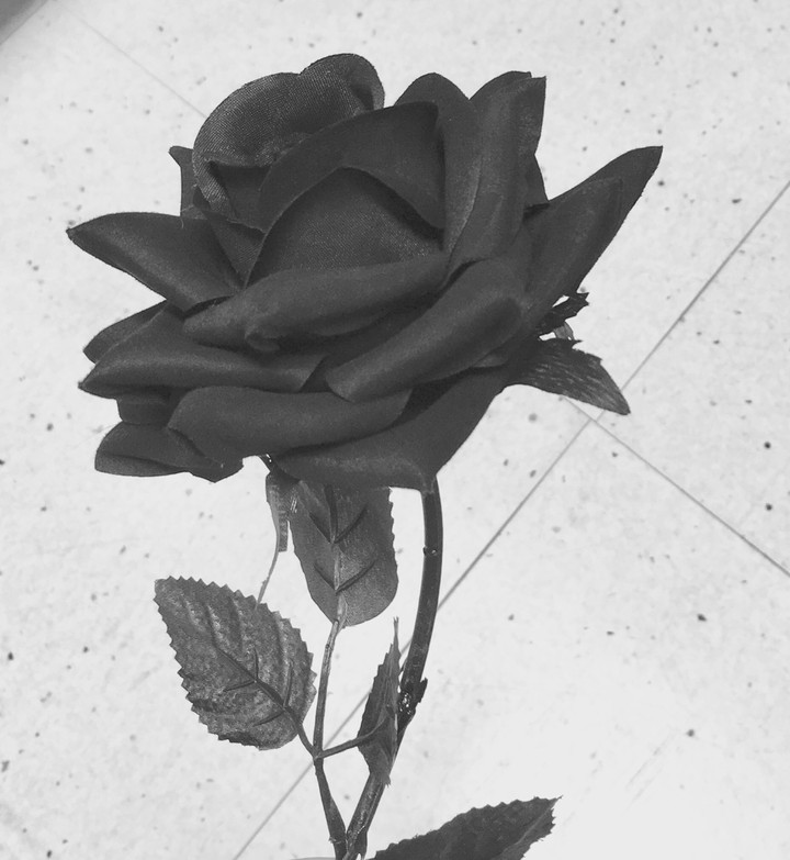negra