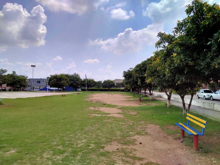 Play ground