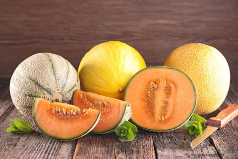 SWEET MELON