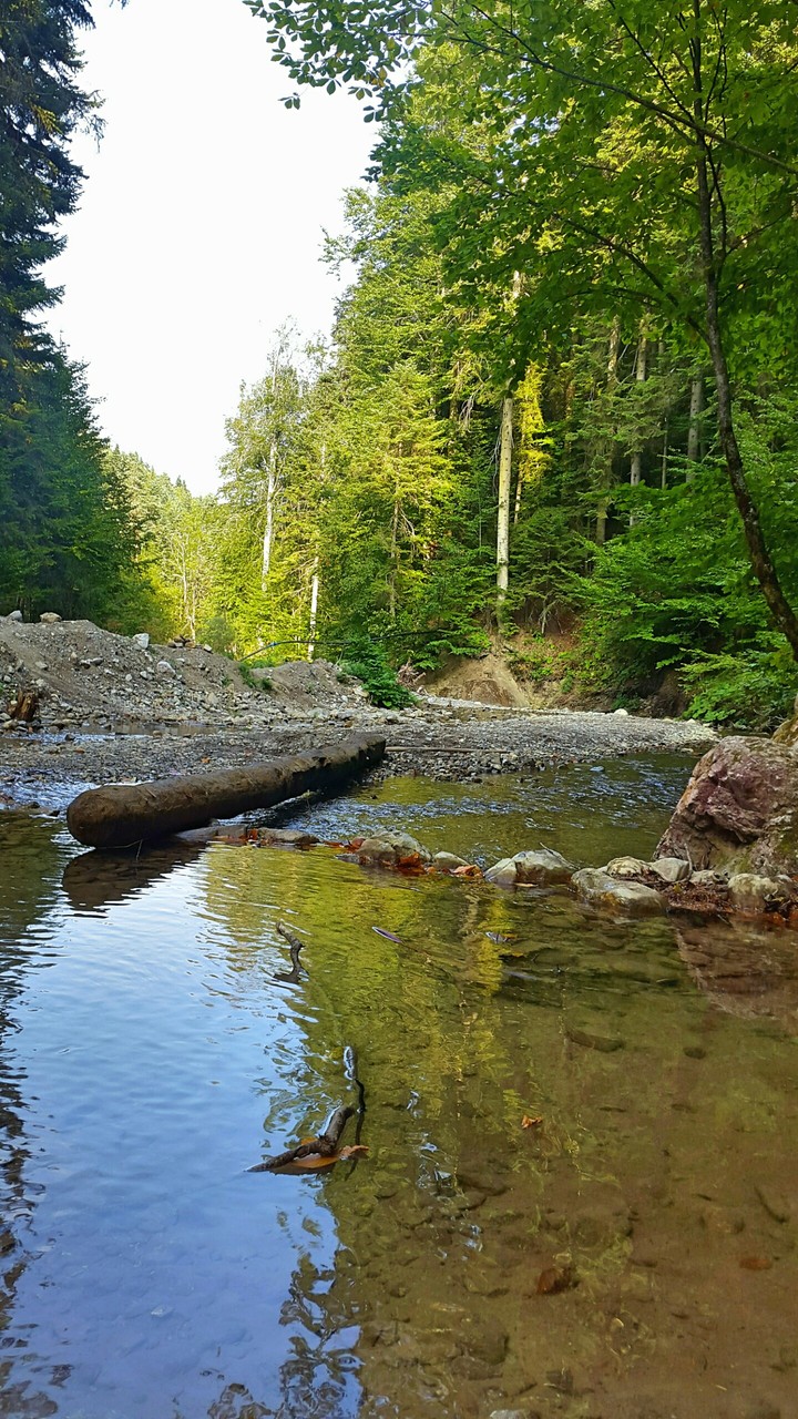 Nature