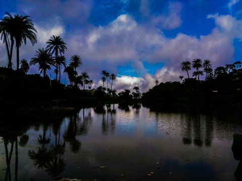 Nature