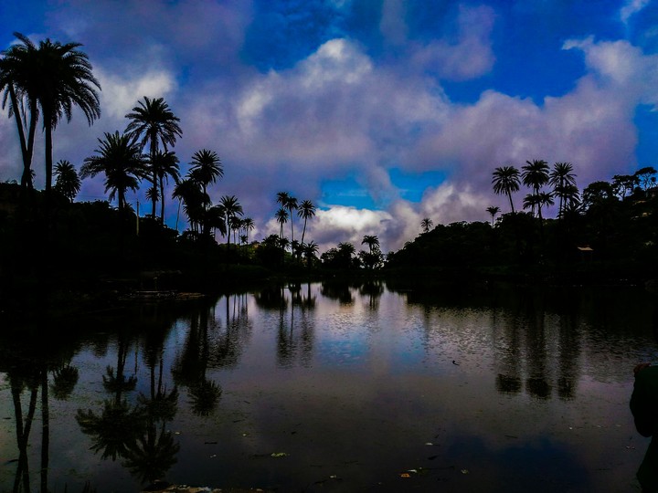 Nature