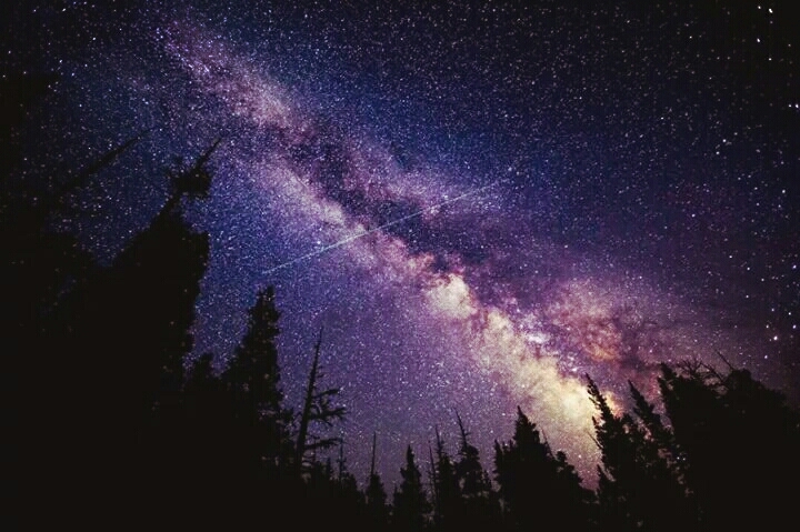 Shooting Stars.......