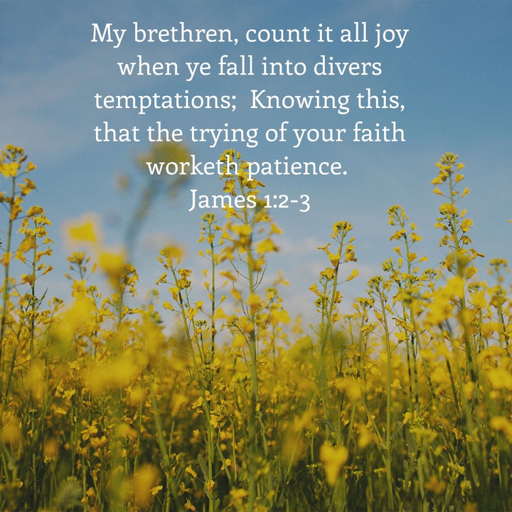 James 1:2-3