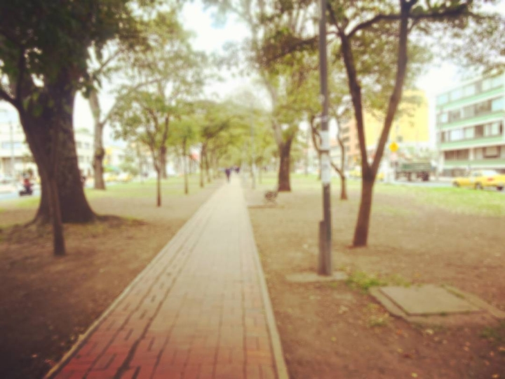 Park way
