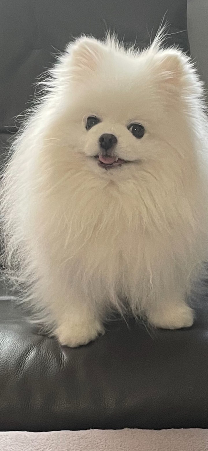 .