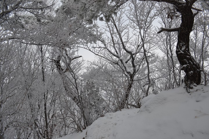 관악산의겨울이미지