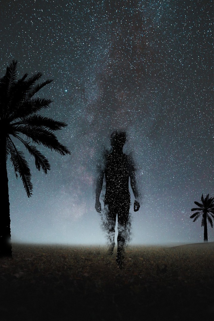 vanish in to the dark