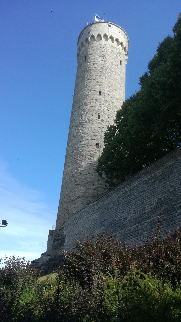 Tallinn