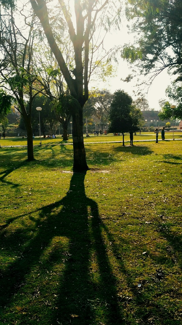 sunshine