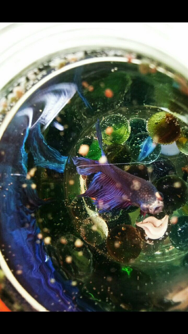 ?