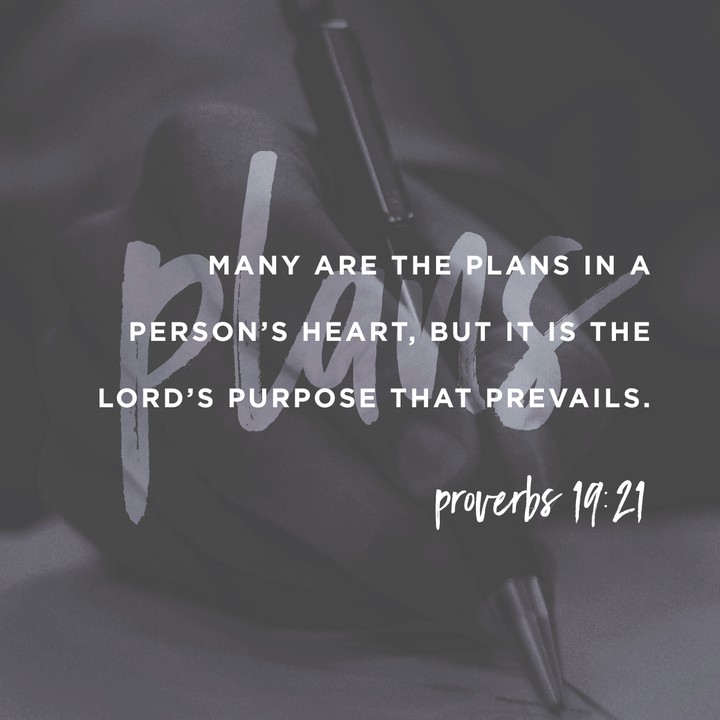 plans