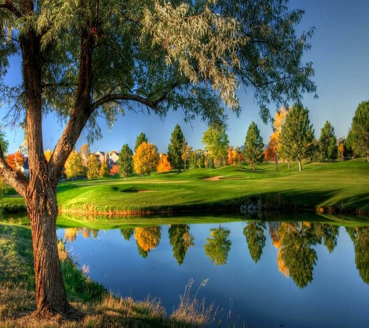 landscape