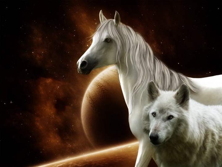 horse and Wolf