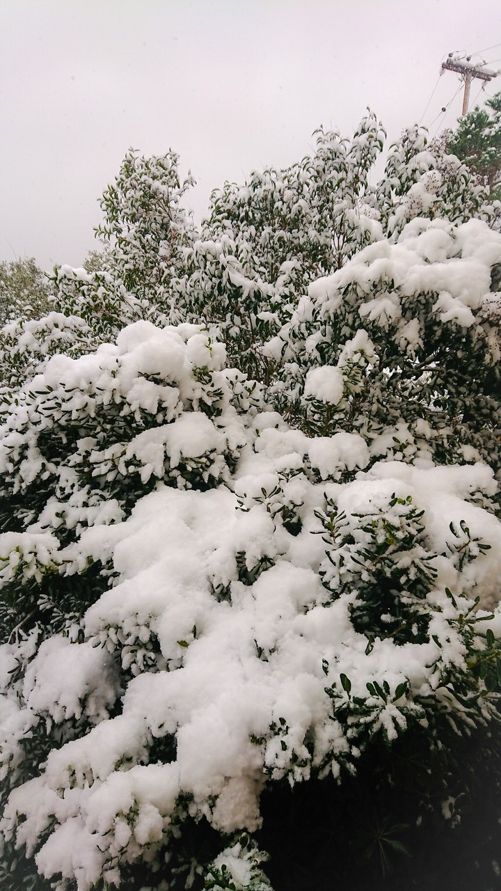 winter