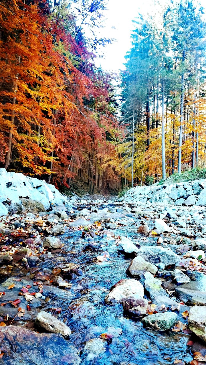 fall is here
