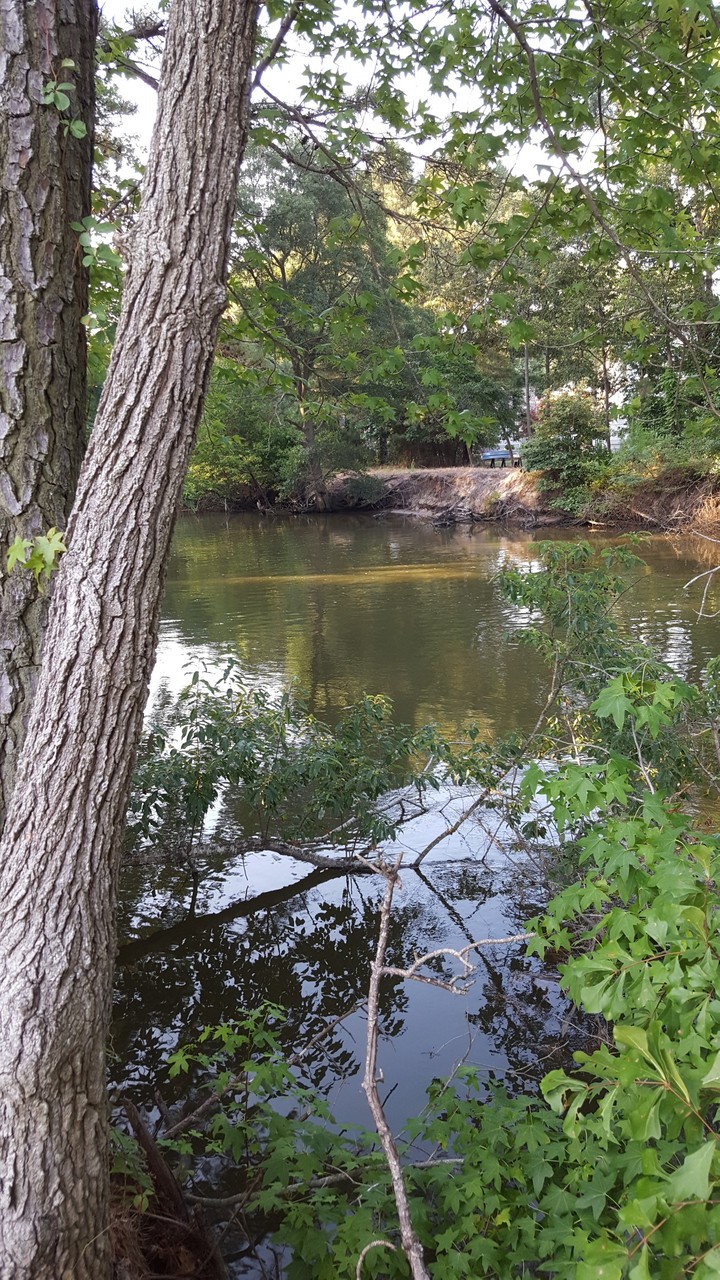 Assawoman Canal