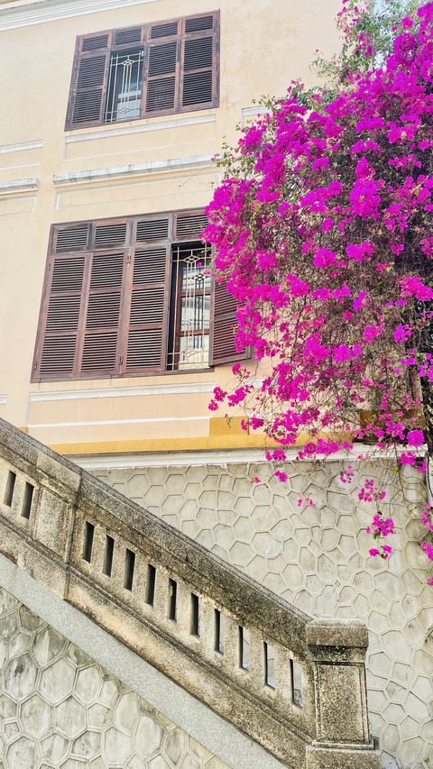 facade, plant Hintergrundbilder