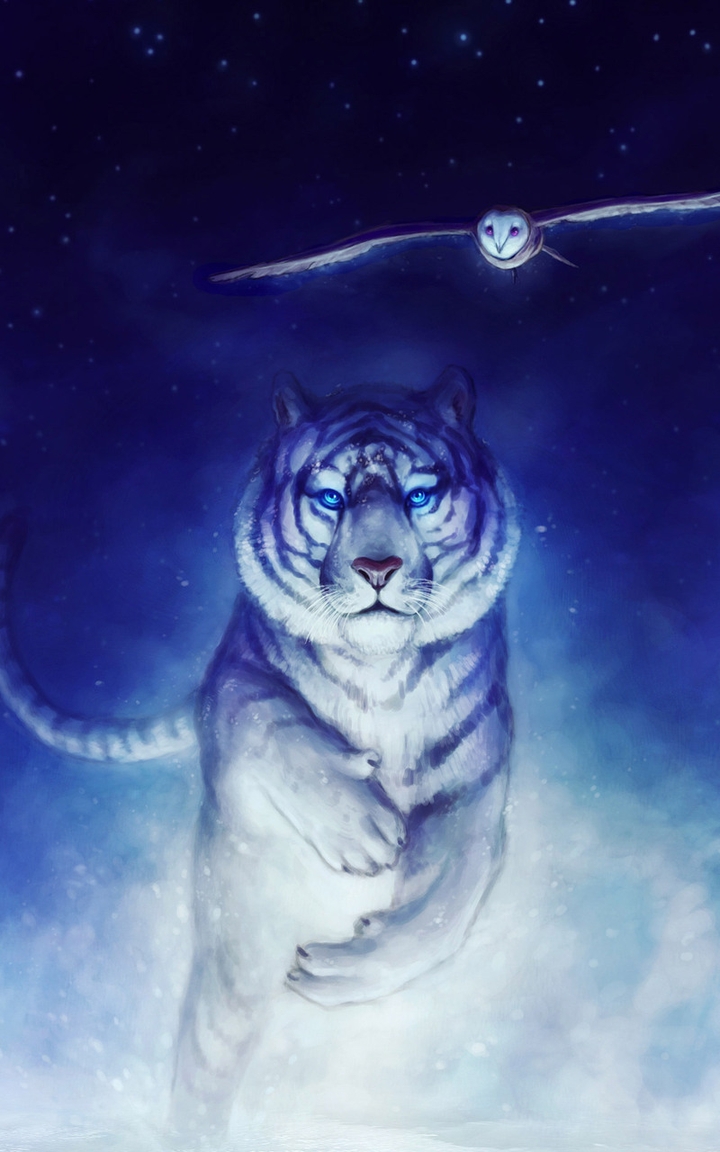 Snow Friend