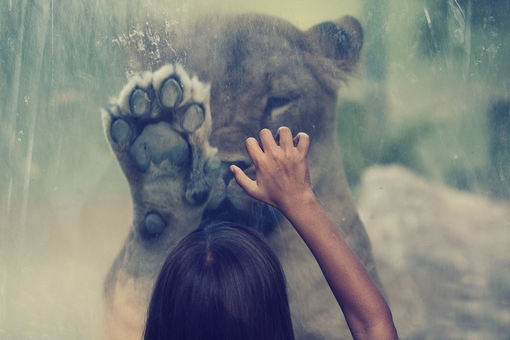 zoo