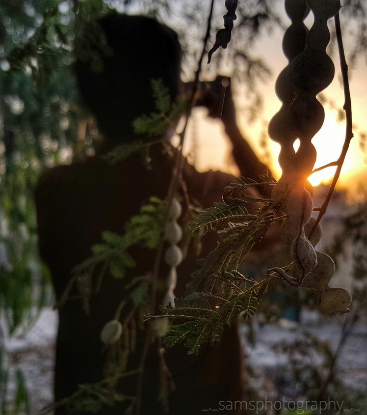 Sunset and a man.