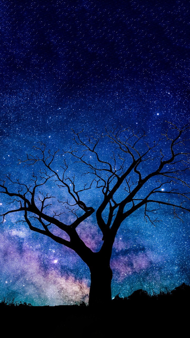 Galaxy On Earth