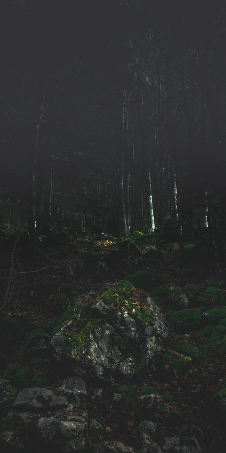 Nature..
