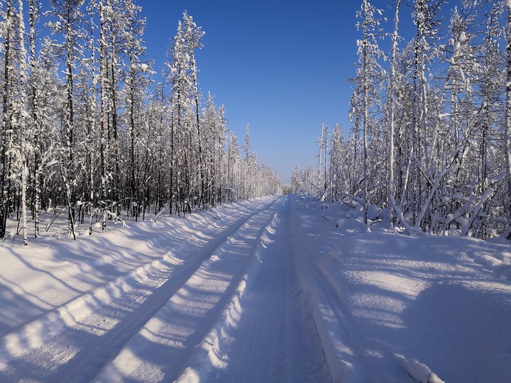 frost and sun
