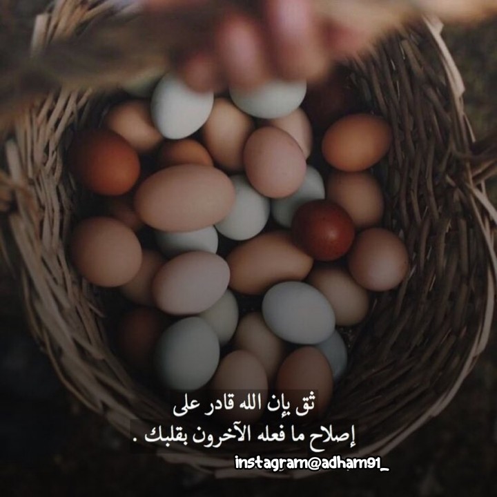 follow me @adham91_