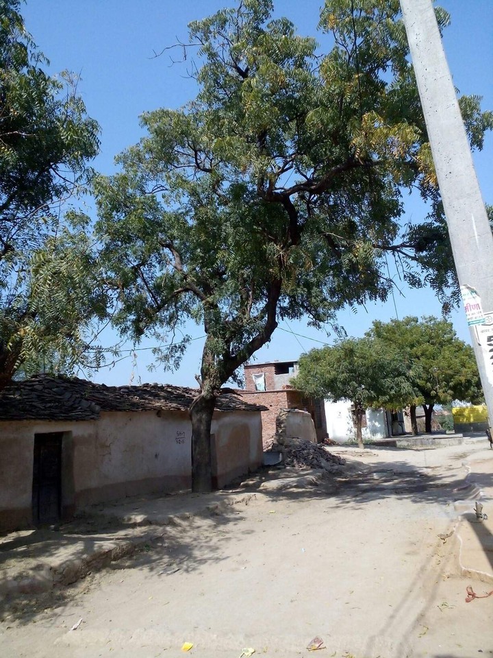 Village