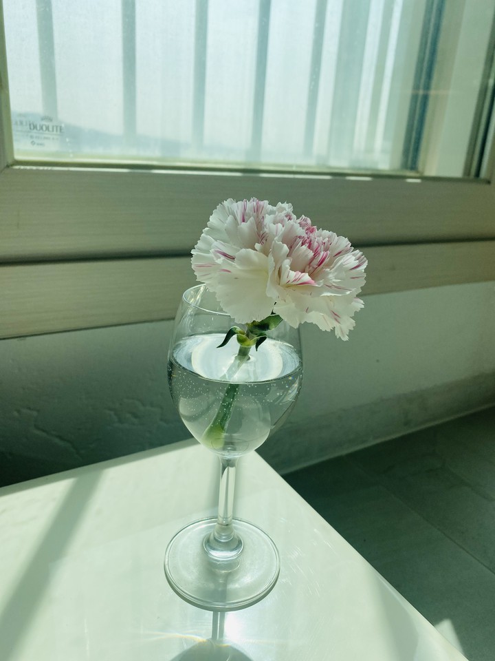 A cup of flower in the afternoon