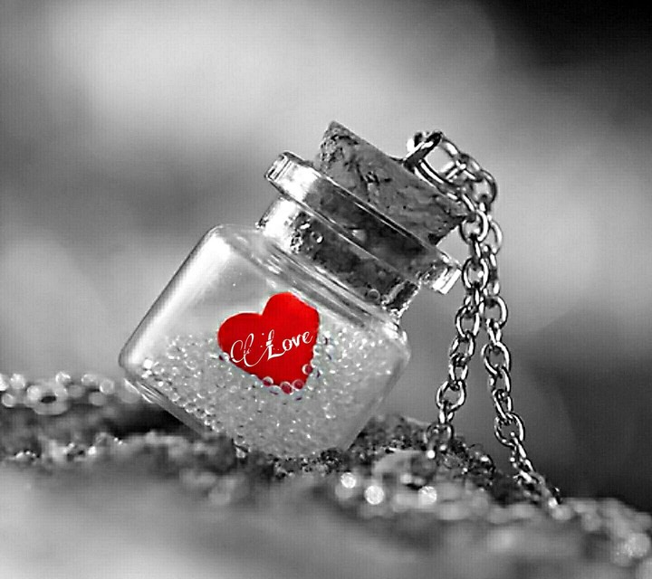 love