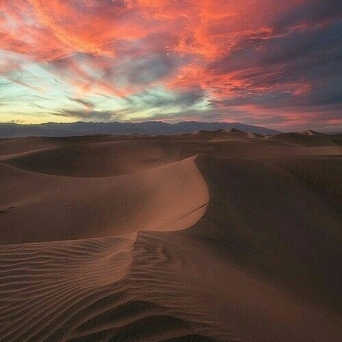 sahara