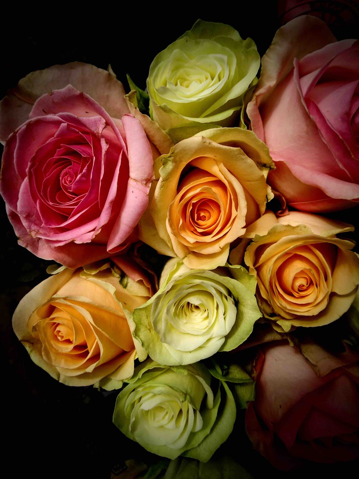 flowers