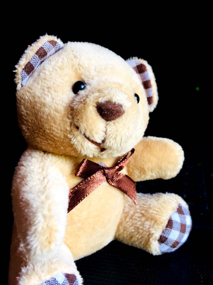 teddy