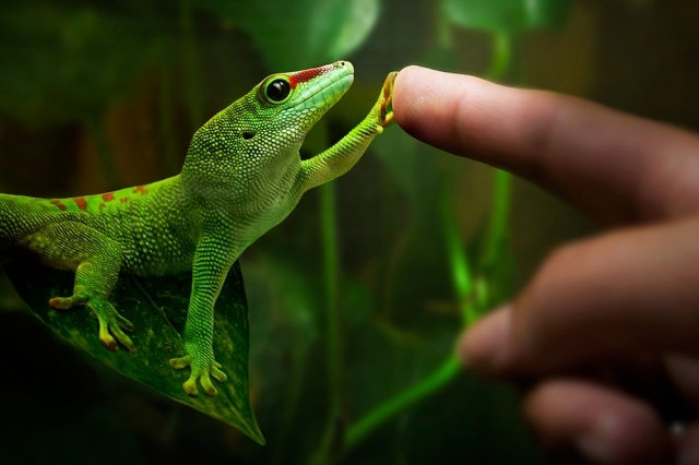 el hombre y La naturaleza