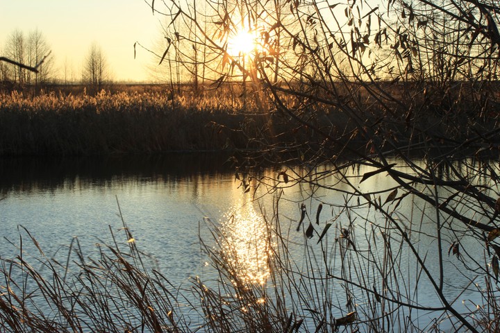 spring sunset