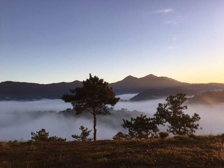 Đà Lạt mộng mơ