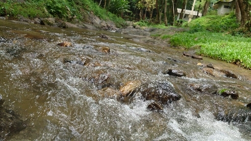 stream