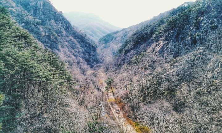 산골자기